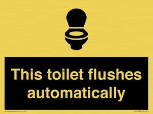 This toilet flushes automatically